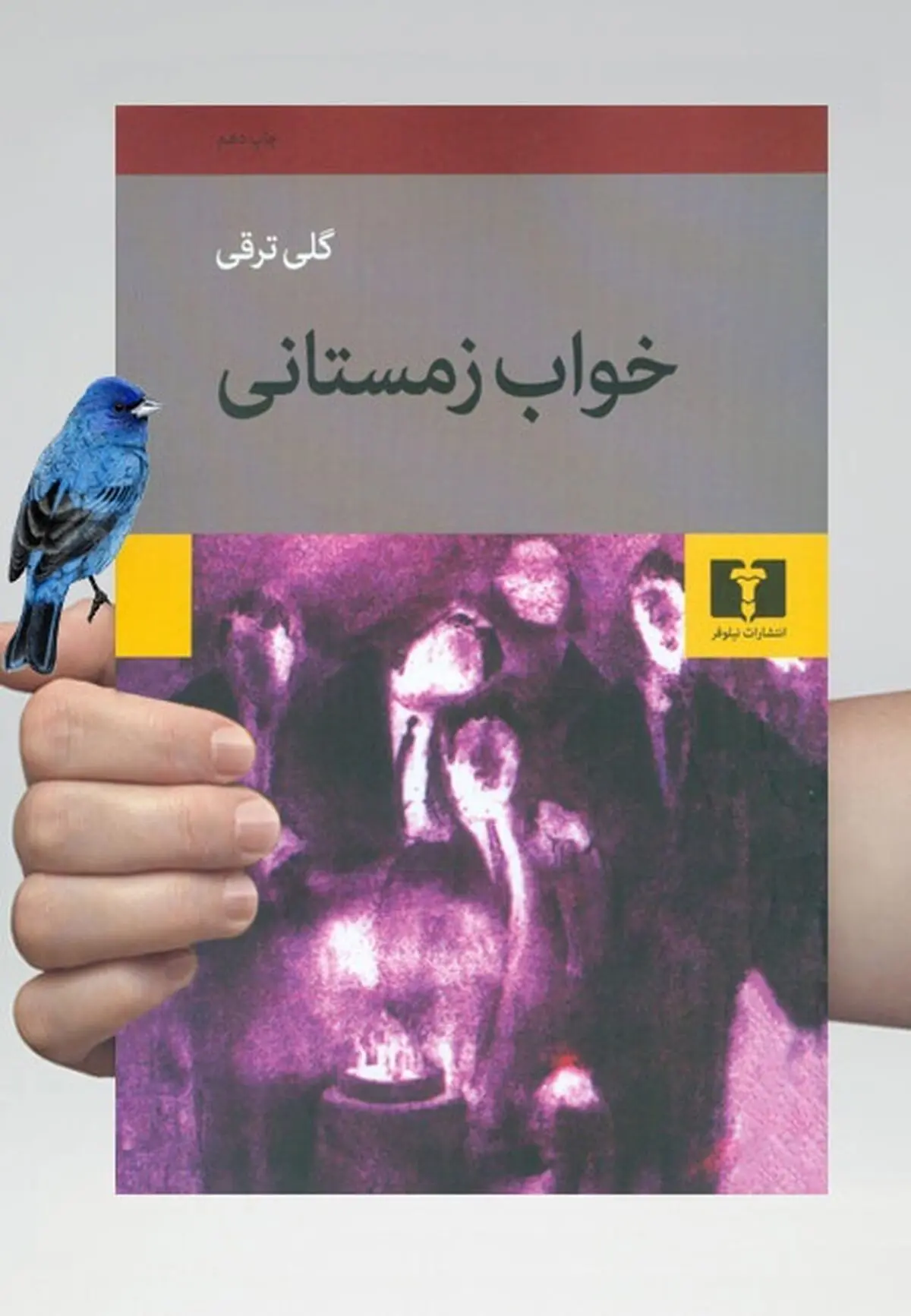 بهترین آثار نویسنده های خانوم