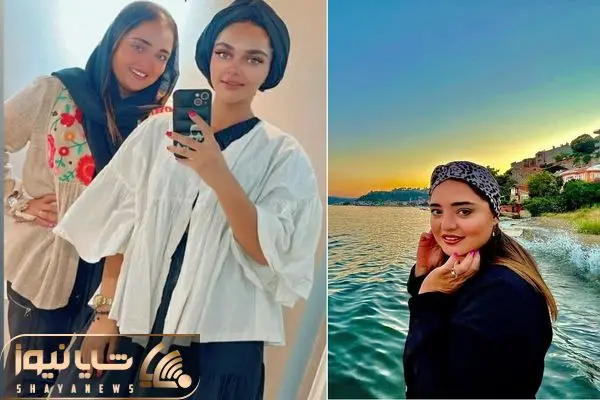 narges mohammadi shayaews