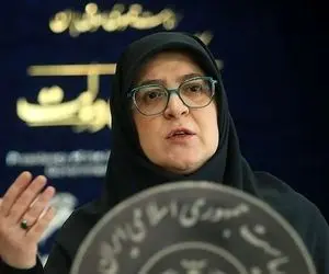 چراغ سبز سخنگوی دولت به اینترنت طبقاتی؟