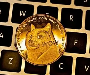 دوج کوین آماده عقب نشینی یا نبرد؟؟