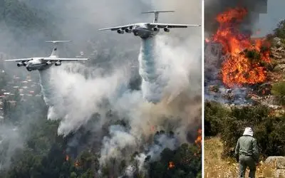 جنگل‌های هیرکانی سوخت دل مسئولین نسوخت؛ آقایان اولویت‌های مهم‌تری دارند! 