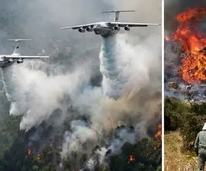 جنگل‌های هیرکانی سوخت دل مسئولین نسوخت؛ آقایان اولویت‌های مهم‌تری دارند! 