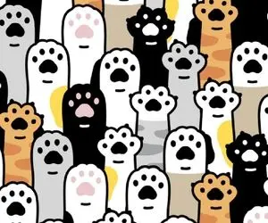 بازی فکری؛ کار هرکسی نیس قلب پنهان را بین پنجه‌های پشمالوی گربه پیدا کنه جربزه میخواد