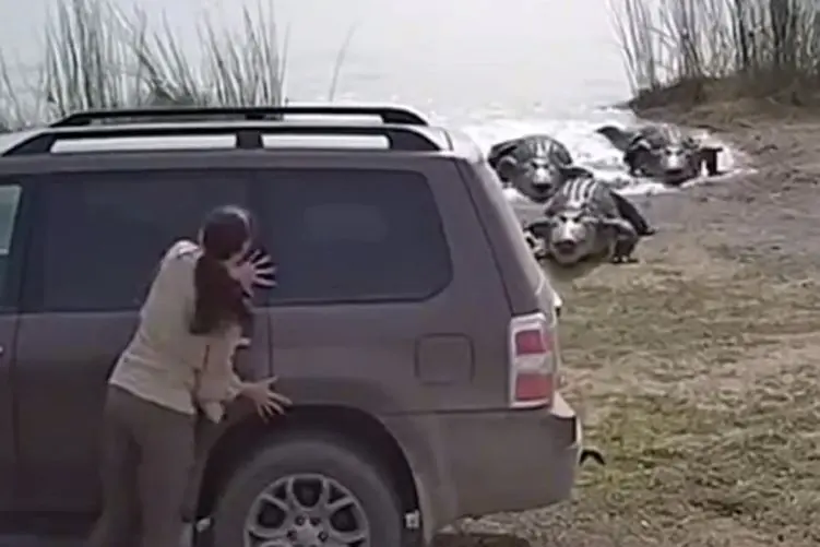 معماری طبیعت؛ زنه عقل نداره راحته