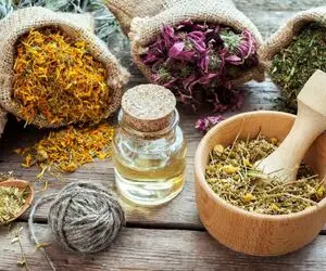 اگه میخوای قلبت مثل موتور تالاپ تولوپ بزنه و روغن کاری نخواد از خارشتر غافل نشووو!