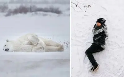 اگه همیشه خوابت میاد این ویدیو واسه خودته! آیا انسان هم به خواب زمستانی میره؟!