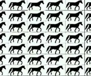 بازی فکری؛ ببین باید اول صف باهوشا باشی تا 3 تا اسب 3 پا پیدا کنی