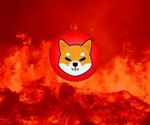 دلیل بودن شیبااینودر منطقه آتش سوزی؟؟