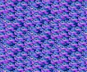 بازی فکری؛ من که نتونستم پروانه رو پیدا کنم رفتم جوابشو دیدم ببین تو میتونی