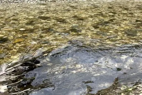 بازی فکری؛ اونی که بتونه مار رو تو دریاچه پیدا کنه باید بره آزمون پلیس مخفی بده