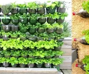 ایده های خلاقانه؛ باغچه ایستاده ترفندی جذاب برای اونایی که باغچه کف حیاط ندارن