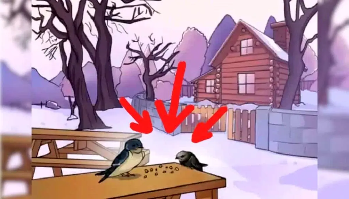 پاسخ-بازی-فکری-اشتباه-تصویری-پرنده-ها-در-زمستان