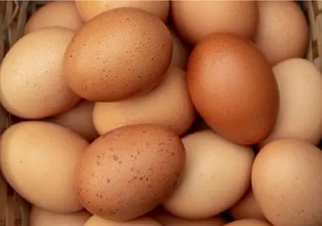 قیمت تخم مرغ امروز چهارشنبه ۱۰ تیر ۱۴۰۵ | هر شانه تخم مرغ چند؟