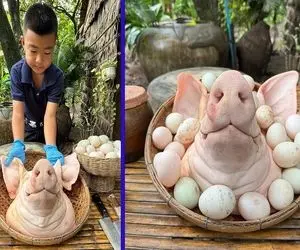 آشپزی با نیم وجبی؛ نیم وجبی کله خوک رو گرفته مسواک میکنه و برای مادر حاملش  میپخه