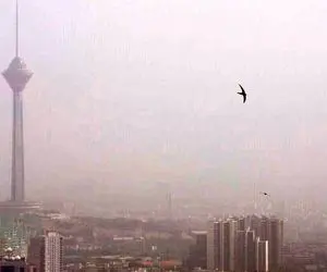 ۱۱ نقطه تهران در وضعیت قرمز