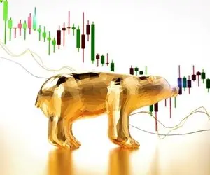 7 روش برای عبور از بازار خرسی ارزهای دیجیتال