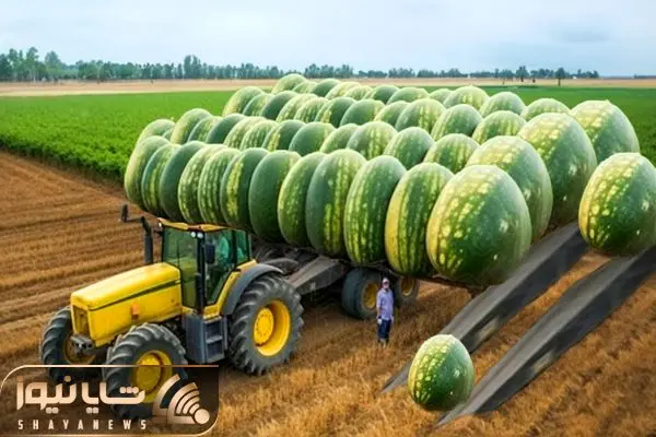 اختراعات خلاقانه