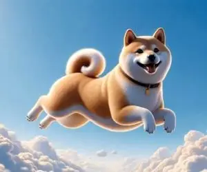 بازگشت غرور آفرین شیبااینو حقیقت دارد؟