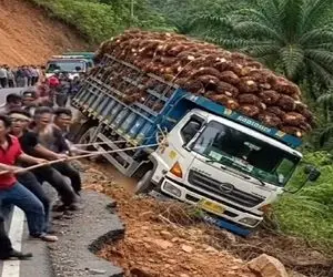 معماری طبیعت؛ اینا چرا فک کردن با طناب میتونن خاور و بار چندتن رو نگه دارن تهش ترکیدن