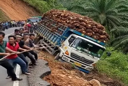 معماری طبیعت؛ اینا چرا فک کردن با طناب میتونن خاور و بار چندتن رو نگه دارن تهش ترکیدن