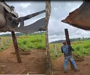 ماشین‌آلات غول پیکر؛ برای حصار کشیدن دور خونه شون چکش نداشتن میرن سراغ بیل مکانیکی