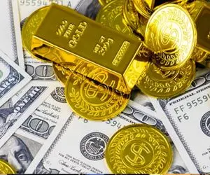 قیمت سکه امروزیکشنبه 25 آذر / سلام به سکه 54 میلیونی