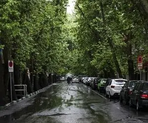 پیش‌بینی وضع هوای کشور تا پایان هفته 