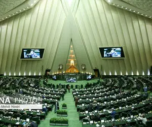 مجلس مالیات گریز ها را نقره داغ کرد