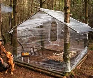 معماری خلاقانه؛ وسط جنگل با 12 بسته سلفون خونه ساخت کشسانی نیزه دار تا طعمه خرس نشه