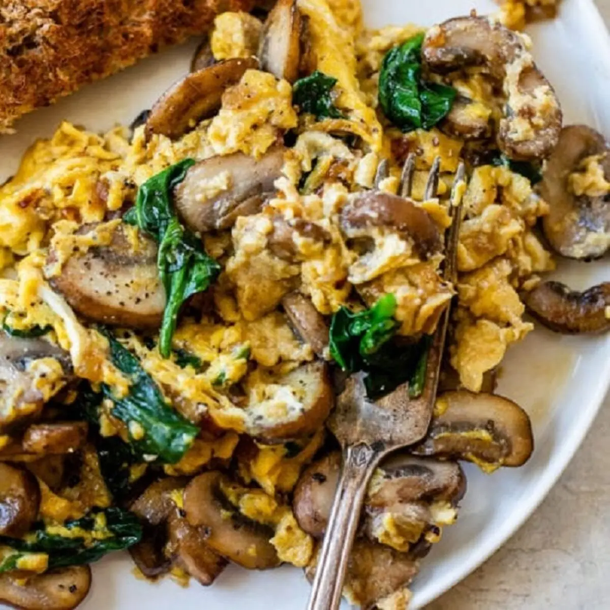 طرز تهیه املت قارچ