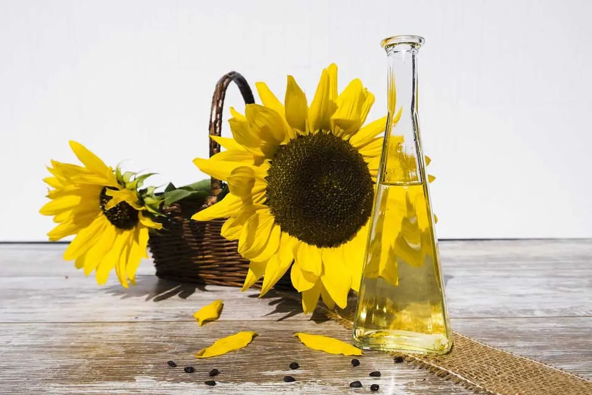 oil-2759779_960_720