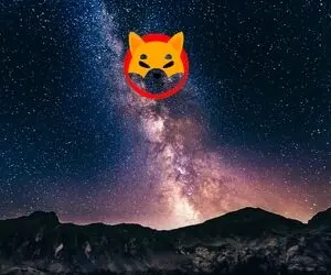 نابودی و برکناری شیبااینو حتمی است؟