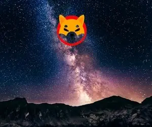 نابودی و برکناری شیبااینو حتمی است؟