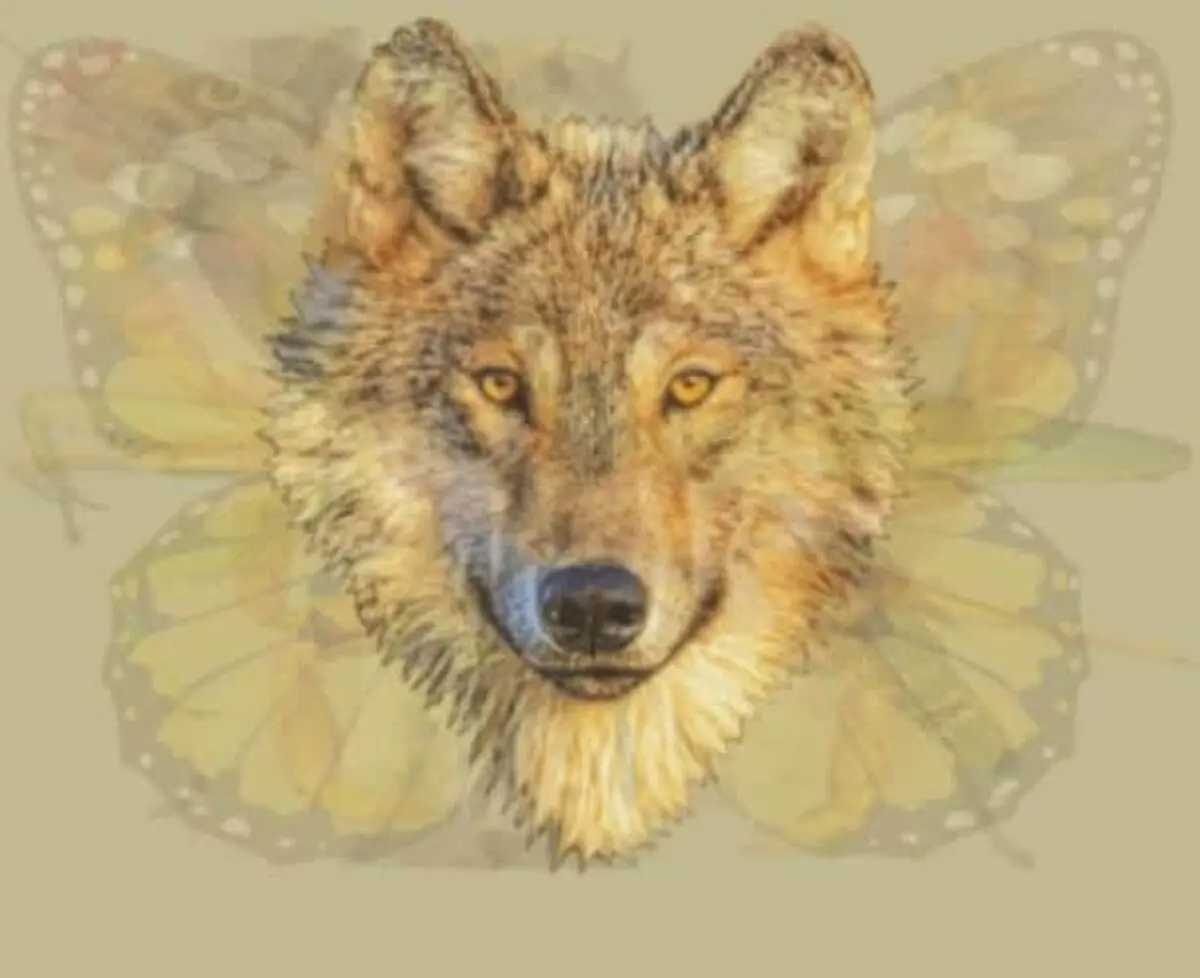The Wolf