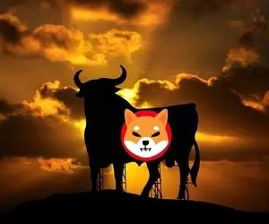 انقلابی مهم از شیبااینو در حال شکل گیری است؟