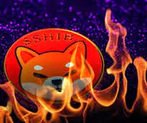 خبری غافلگیرکننده برای کاربران شیبااینو!!