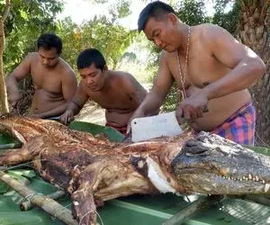 کباب تمساح؛ سه بربر برهنه گشنه 100 کیلو کروکودیل رو واسه شام درسته کباب کردن