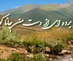 آواز اصیل؛ با این آهنگ سالار عقیلی قشنگ روحت میره وسط دشتای بهاری و پرواز میکنه