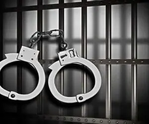 بازداشت ۷ بازیگر سرشناس‌ با ۳۸ لیتر مشروب