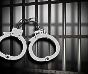 بازداشت ۷ بازیگر سرشناس‌ با ۳۸ لیتر مشروب