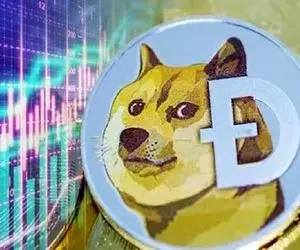 دو نهنگ دوج کوین به ایلان ماسک حمله کردن!