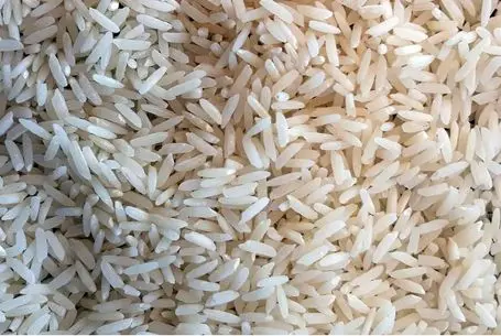 ترفندهای خانه داری؛ چطور شپشک برنج رو از بین ببریم؟