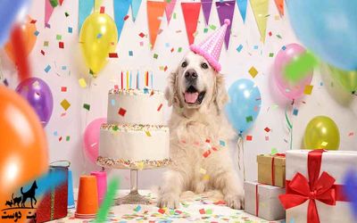 (ویدیو) ماجرای عجیب جشن تولد برای یک سگ!
