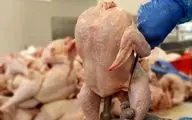 مرغ دوباره گران شد؛ هر کیلو 36 هزار تومان!