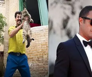 بی قانونی در سینمایی که داعیه قانون دارد/ ماجرای شکایت از فیلم سینمایی سال گربه