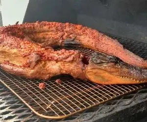 کباب تمساح؛ تمساح حرومیو درسته ادویه میزنن لای فویل میذارن کباب شه تو خیابون میفروشن