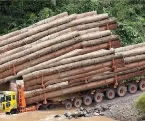 جا به جایی جانکاه؛ راننده کله خر فکر کرد رودخونه تهش سفته رد شه خودشو بارش به گل نشست