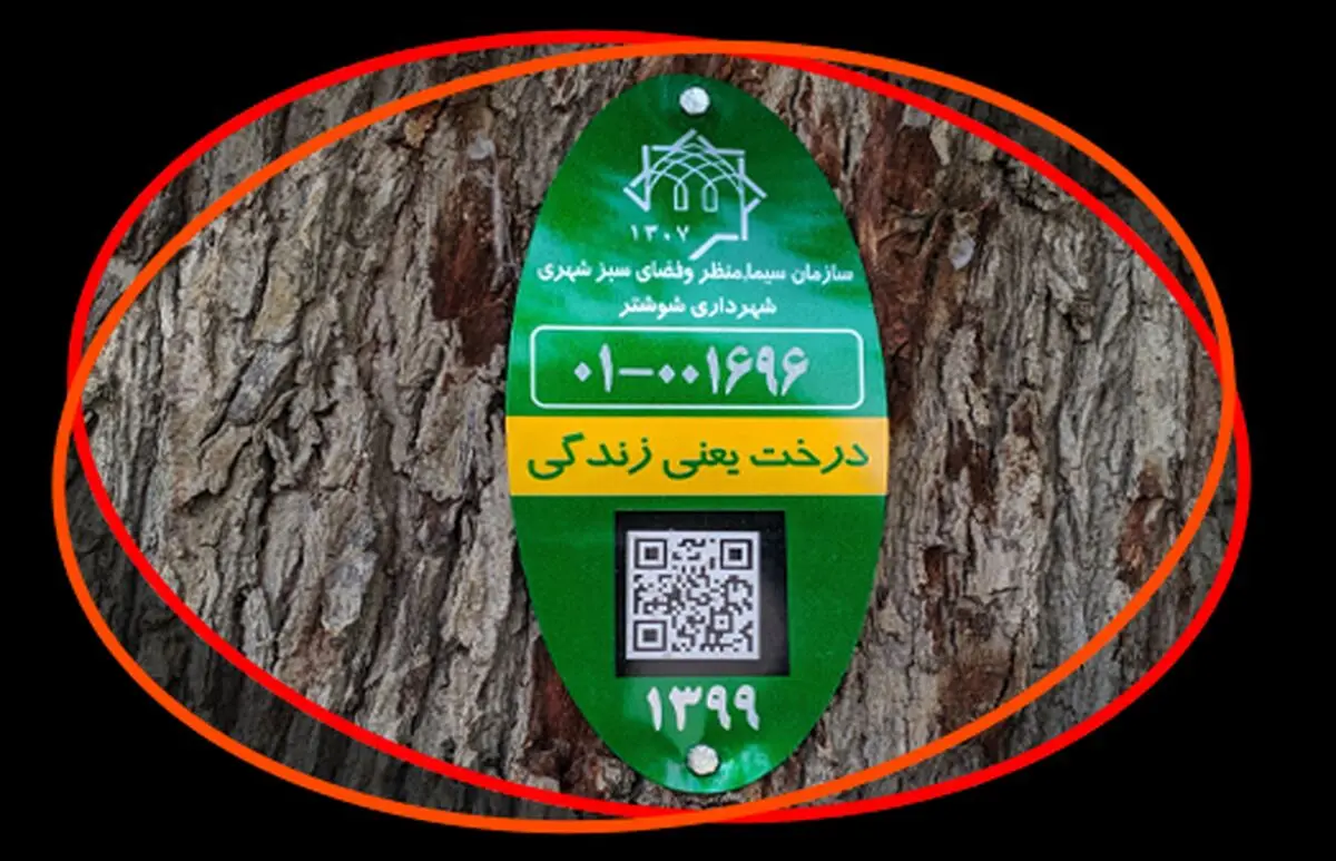 پلاک کوبی درختان