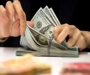 پیش بینی قیمت دلار ۲۷ دی ۱۴۰۳ / دلار خبر مذاکرات احتمالی را پیش‌خور کرد!