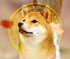 حماسه شیبا اینو سر بزنگاه؟